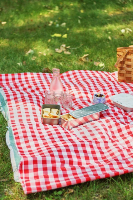 Un pique-nique étalé sur une couverture au parc